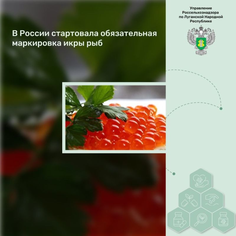 � ������ ���������� ������������ ���������� ���� ���