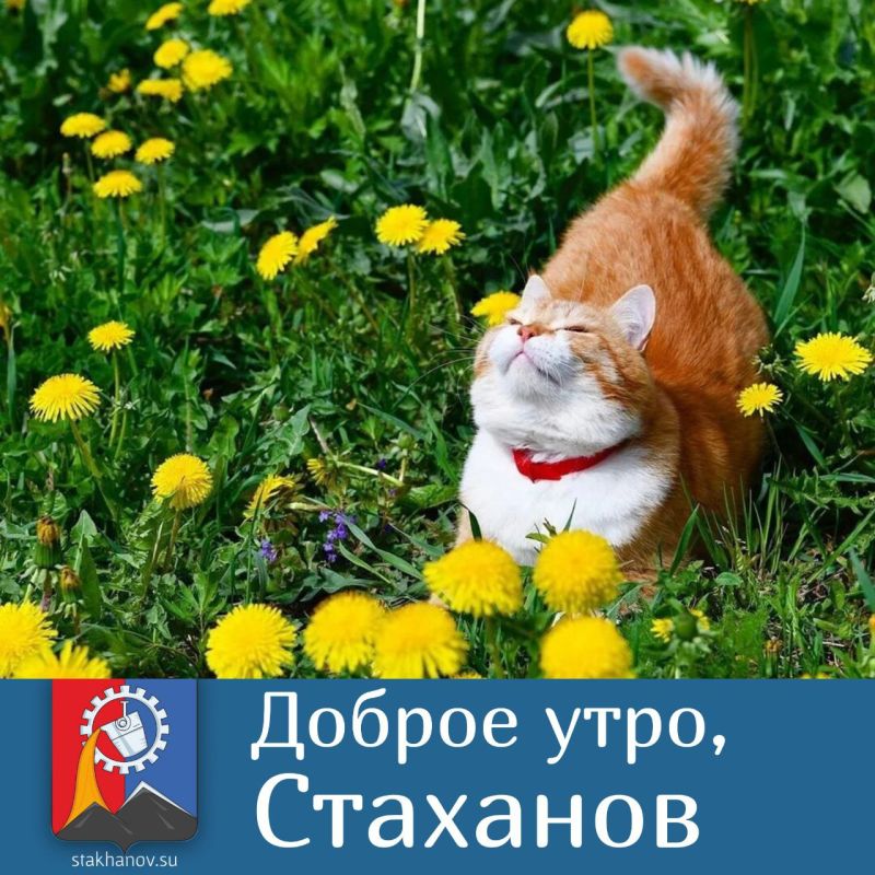 ������ ����, �����. ������� � ��������� �� +23 ��������, ���� ��� ������� ��������� � � Telegram #�������� #�������_���������