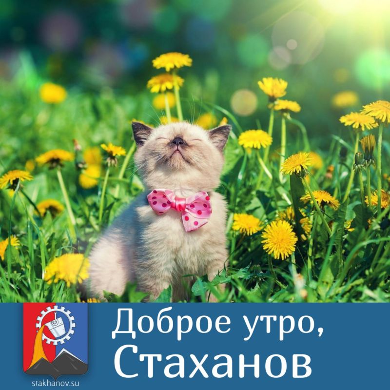 ������ ����, �����. ������� � ��������� �� +24 ��������, ���� ��� ������� ��������� � � Telegram #�������� #�������_���������