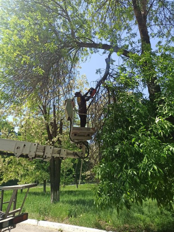 �������� ��������: ������������ ������ ���������� ������ �� ������ �������