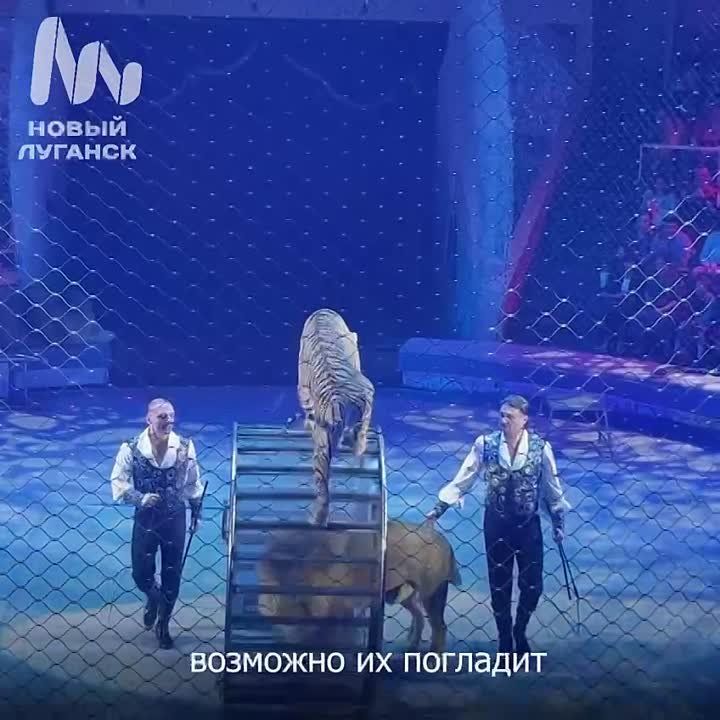 ������� ���� �� �������� ���������� � ��������� ����