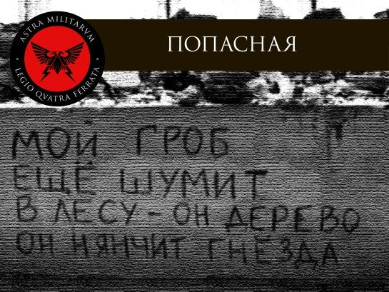 �������� ������. ��� ������ ��� ������� ������ ���� ���� � ������ ��� �� �������