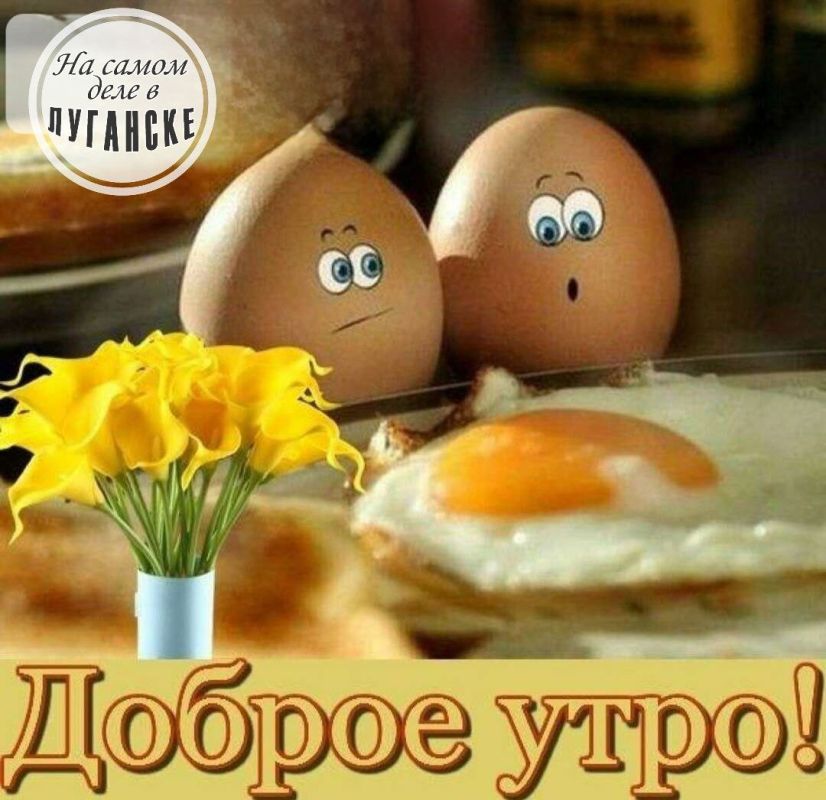 ������ ����, �������!. � �������� � ��������� �������� ���������� ������ ���� ������ �� ����� �������� ������, ������� ����������� �� ������ ������. ��� �������