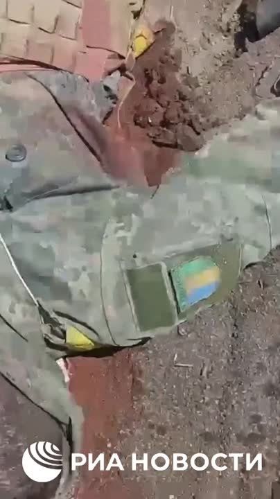 ������� � ������������ ����� ������� ����� �� ���� ��������, ���������������� ����������� �������� ��� ������������ � ���