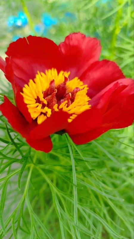 � ������ �����, ������ ����������� �������������� ������!