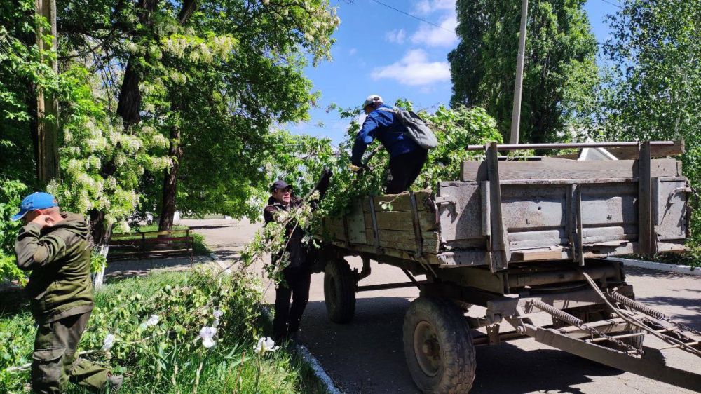 �������� ��������: ������������ ������ ���������� ������ �� ������ �������