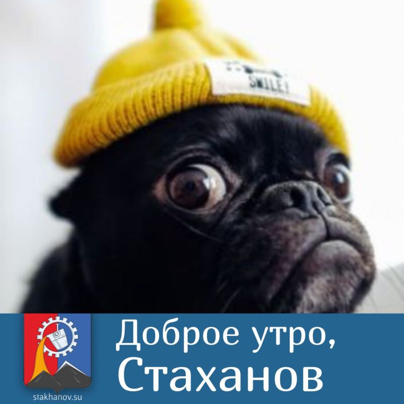 ������ ����, �����!. ��� ������ �������� �����