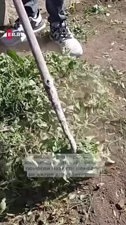 ������ ������ �������� ����� ������ ��������� ����������� �������, �������� � ������������ ������
