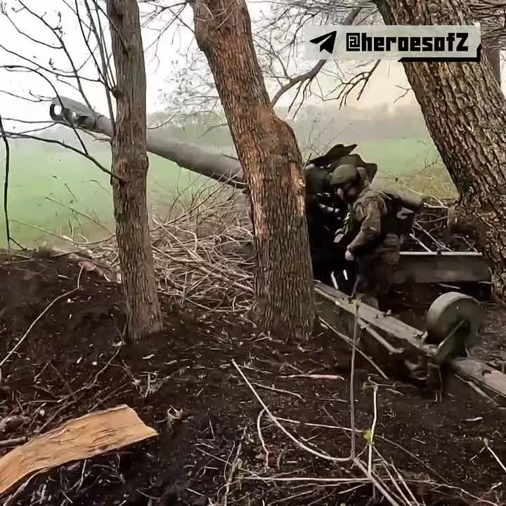����������, ��� ��������, ���� ������