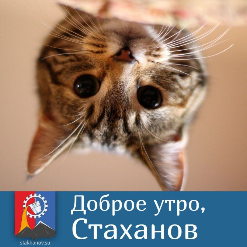 � ������ �����, ��������