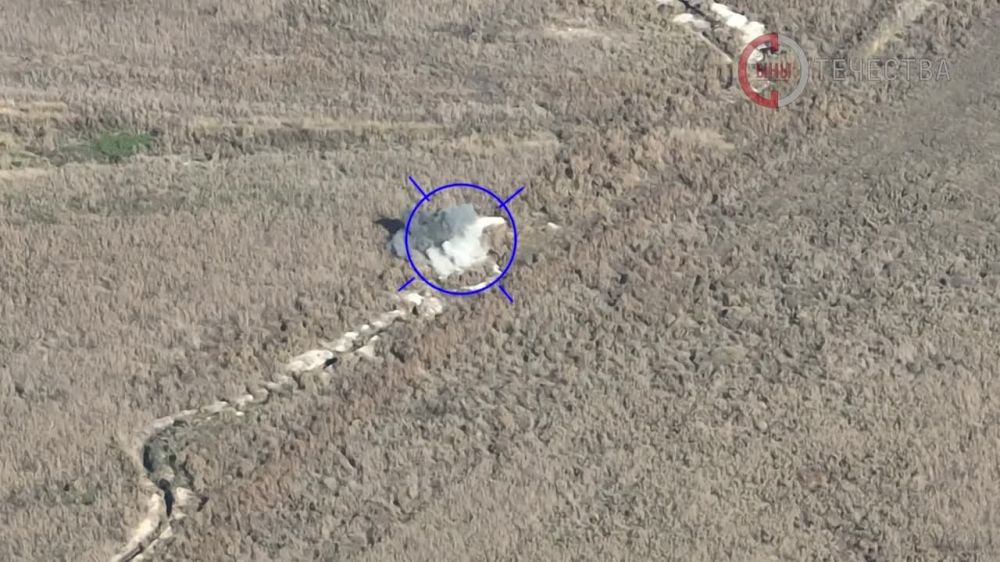 � ������ �������� ������������ 6 ������� ����� ����������� ����� ���������� ������� ���������� ��������