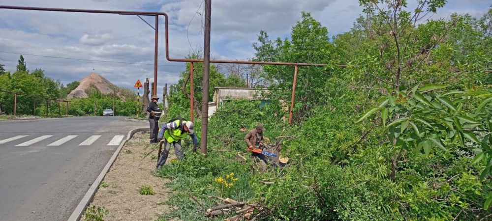 �������� ��������: ������������ ������ ���������� ������ �� ������ �������