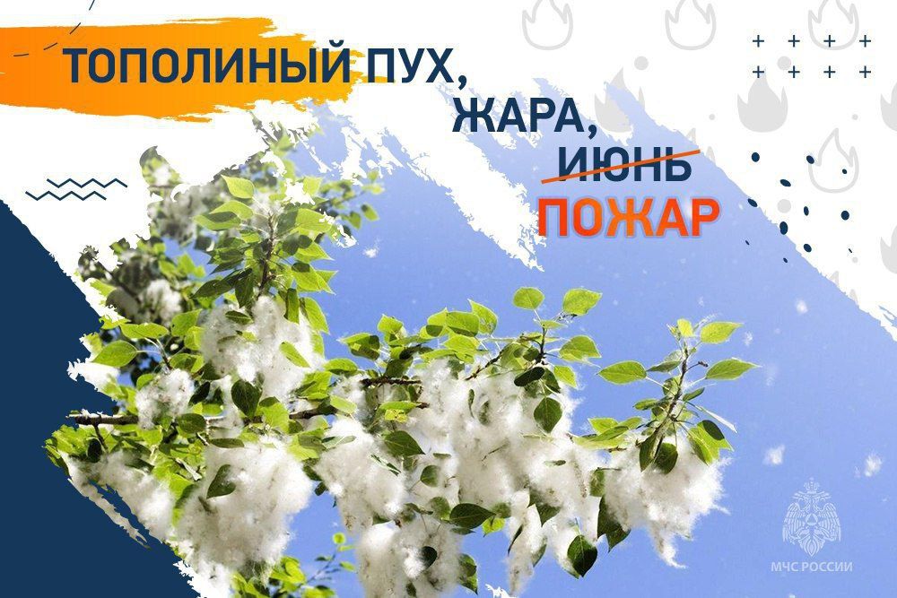 ����� "�����": ������������ ���������� ���������� ����