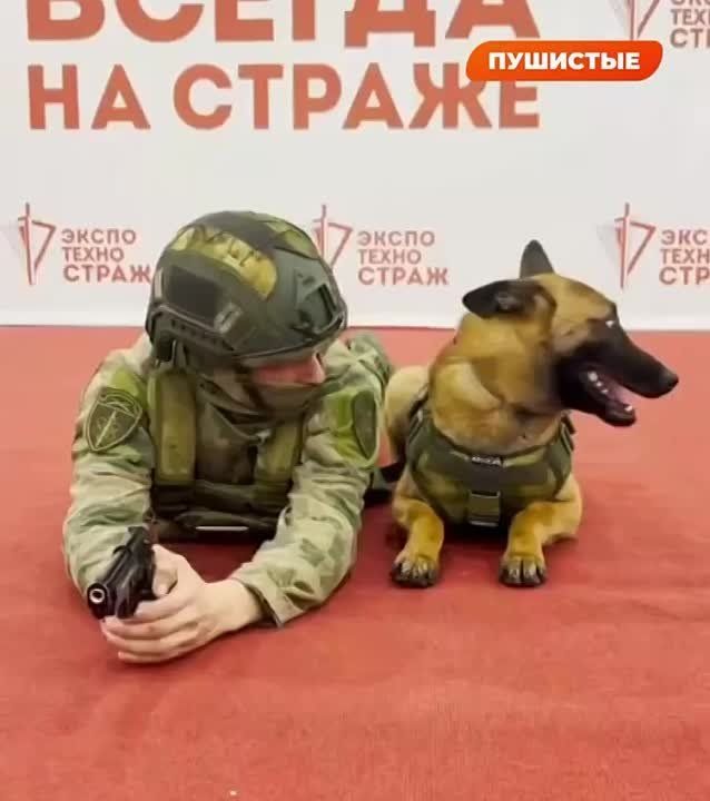 ������� ������� �������������� ������������ � ������