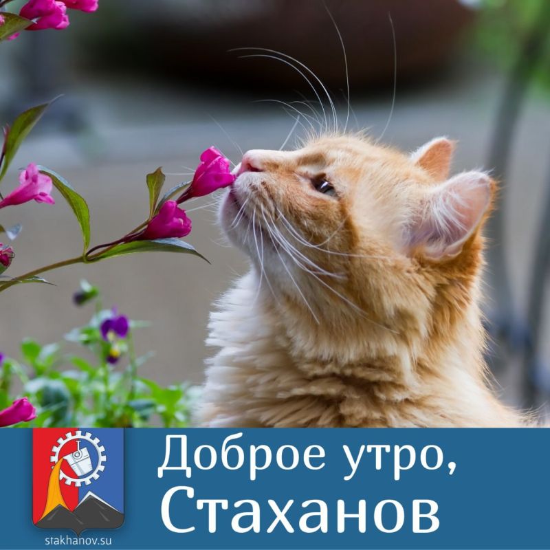 Доброе утро, любимый город!