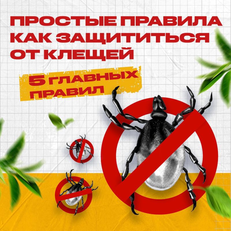 � ������������ ����� ����������� ������ �� �������