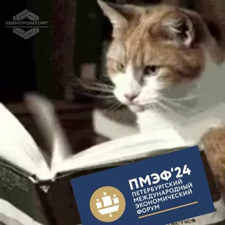��������������� ��� ����� ������������ � ���������� ���� � 2024 ����