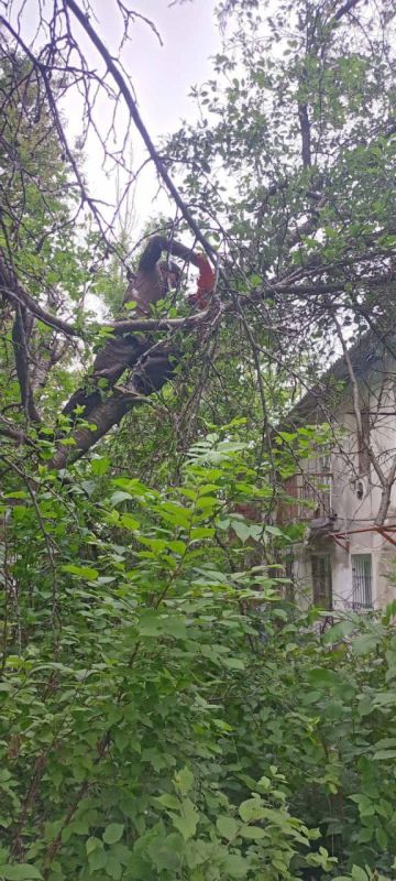 �������� ��������: ������������ ������ ���������� ������ �� ������ �������