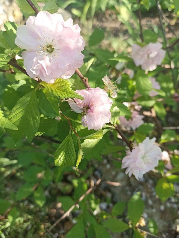 � ������ �����, ������ ����������� �������������� ������!