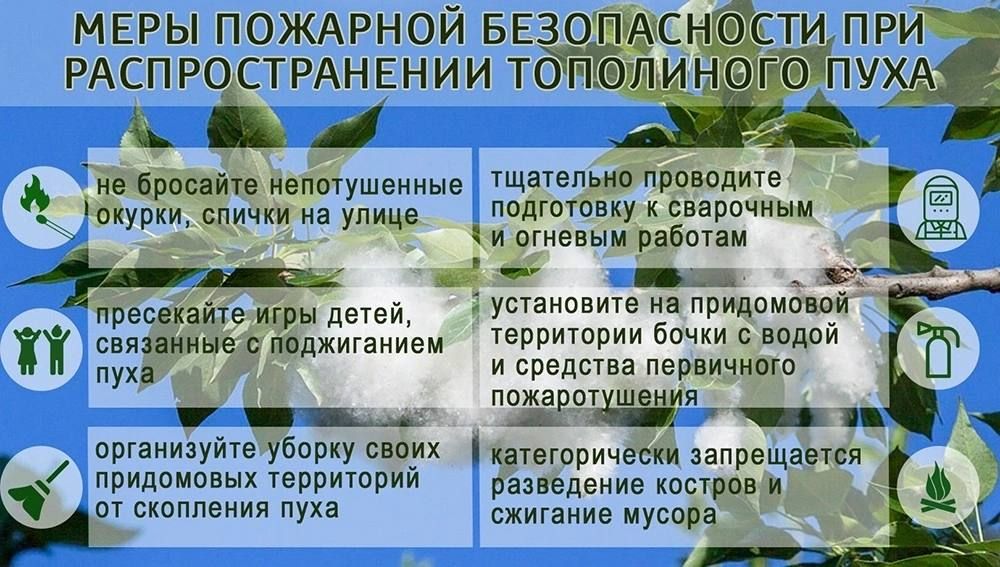 ����� "�����": ������������ ���������� ���������� ����