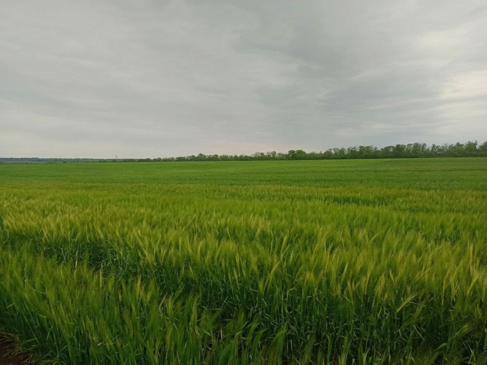 ��������� ������� ��������� ��������� ��������� ������� ����� ������� ����������