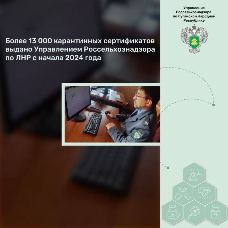 ����� 13,8 ����� ����������� ������������ ������ ����������� ����������������� �� ��� � ������ 2024 ����, �������� � ���������