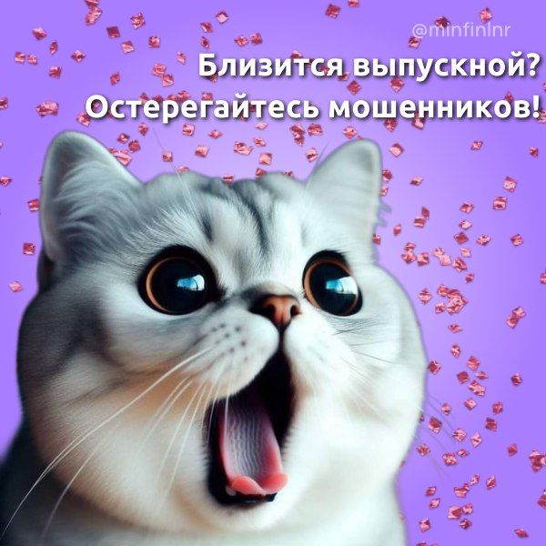 ��������� ������, ���, ����������� � ��� ����� 11-�� ������ � ������������ � ������� ����� � ��� ����������, � ��� �� ���������