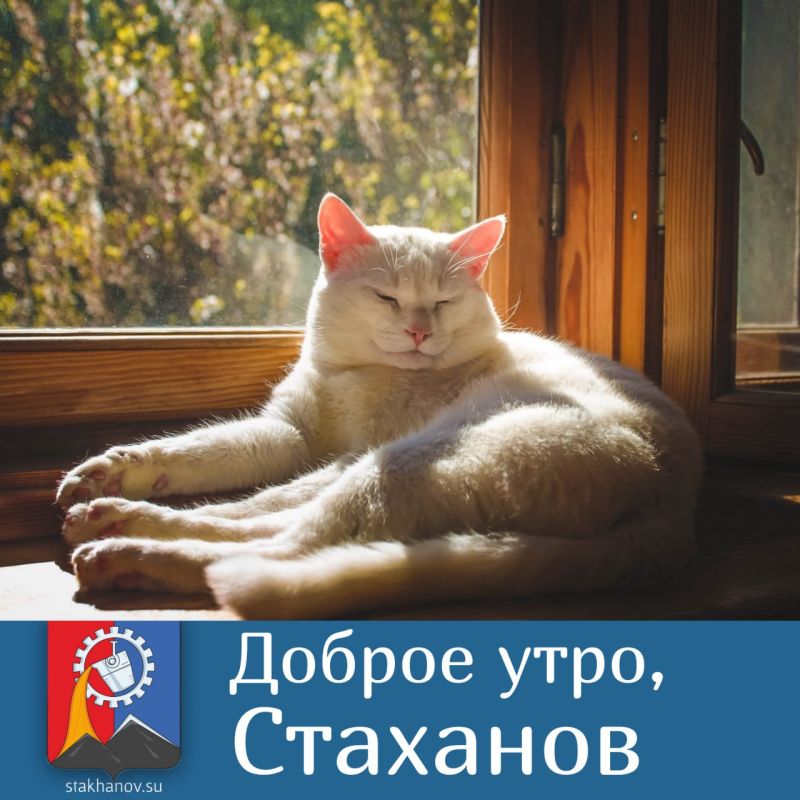 ������ ����, ��������. ������� ���������� ������� ������ ������ 22�25 �������� ��� ������� ��������� � � Telegram