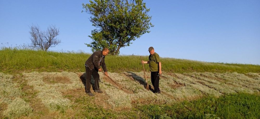 Живой календарь «Молодогвардейску-69» преобразился