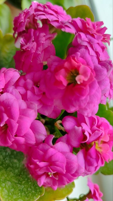 � ������ �����, ������ ����������� �������������� ������!