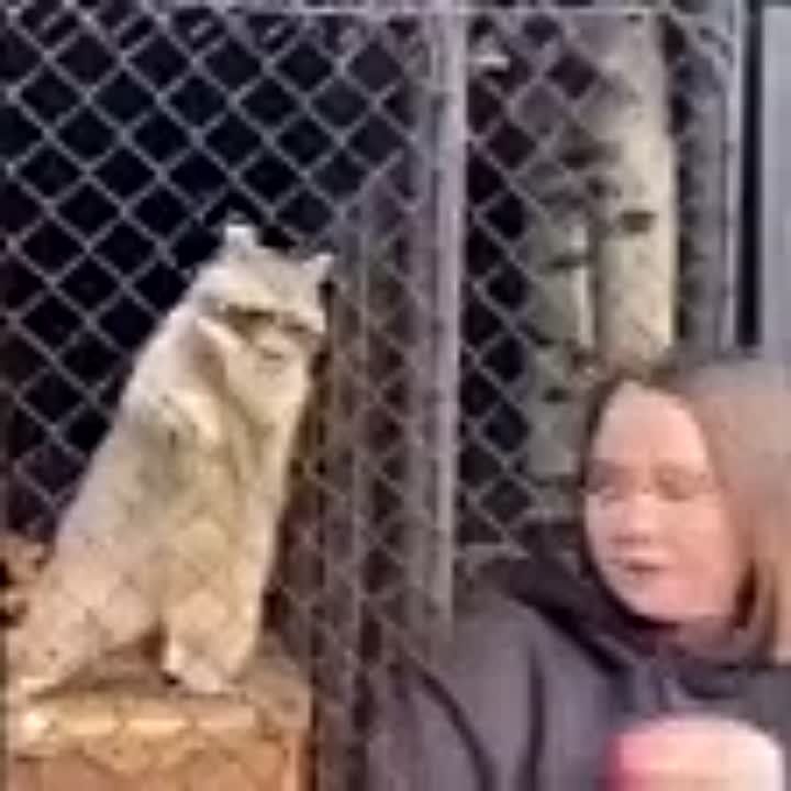 ������� �� �������� ��������� ���������� ����� ������������� � ����������� �������