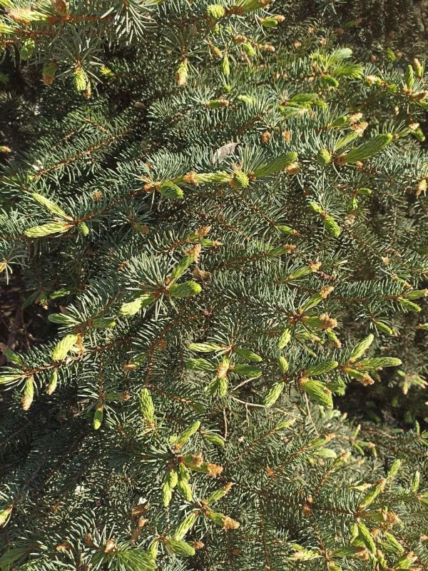 � ������ �����, ������ ����������� �������������� ������!