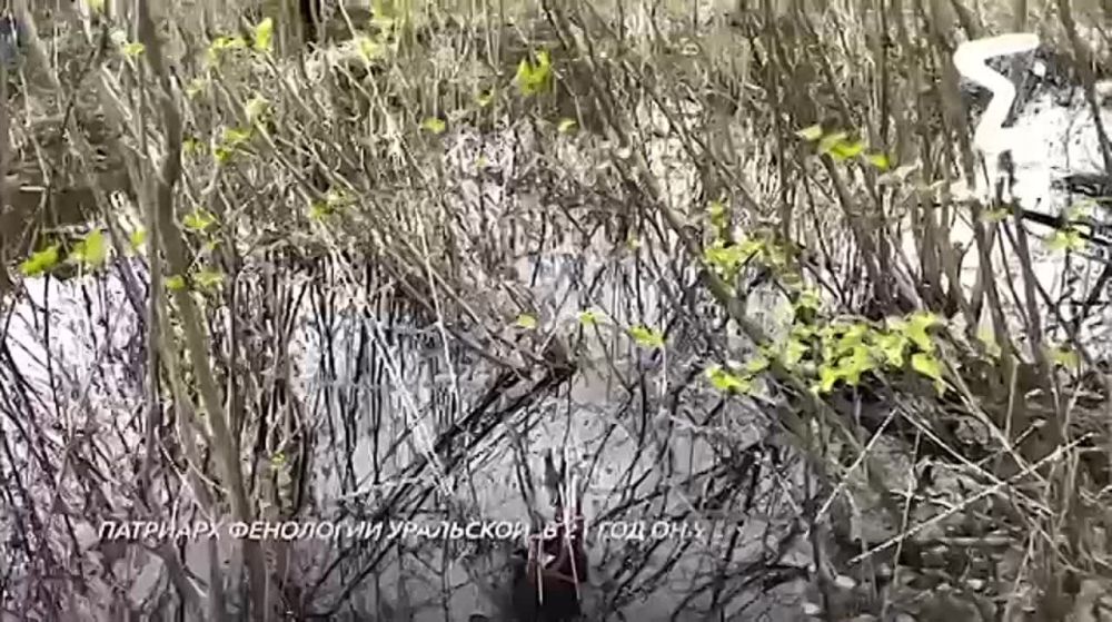 �������������� � ���� �������� ������� ��������� �� ����� � �������������� ����������