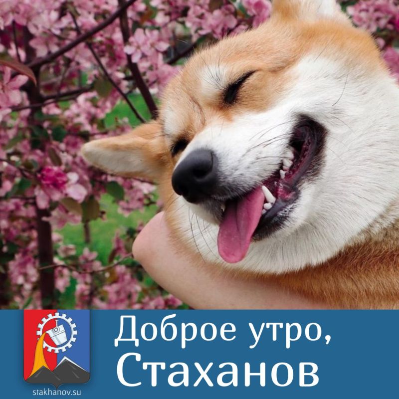 ������ ����, ������� �����