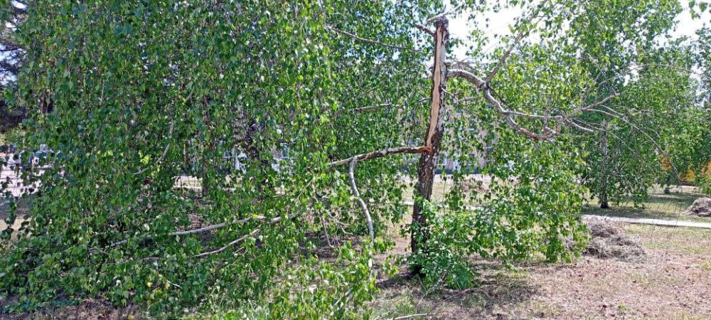 �������� ��������: ������������ ������ ���������� ������ �� ������ �������