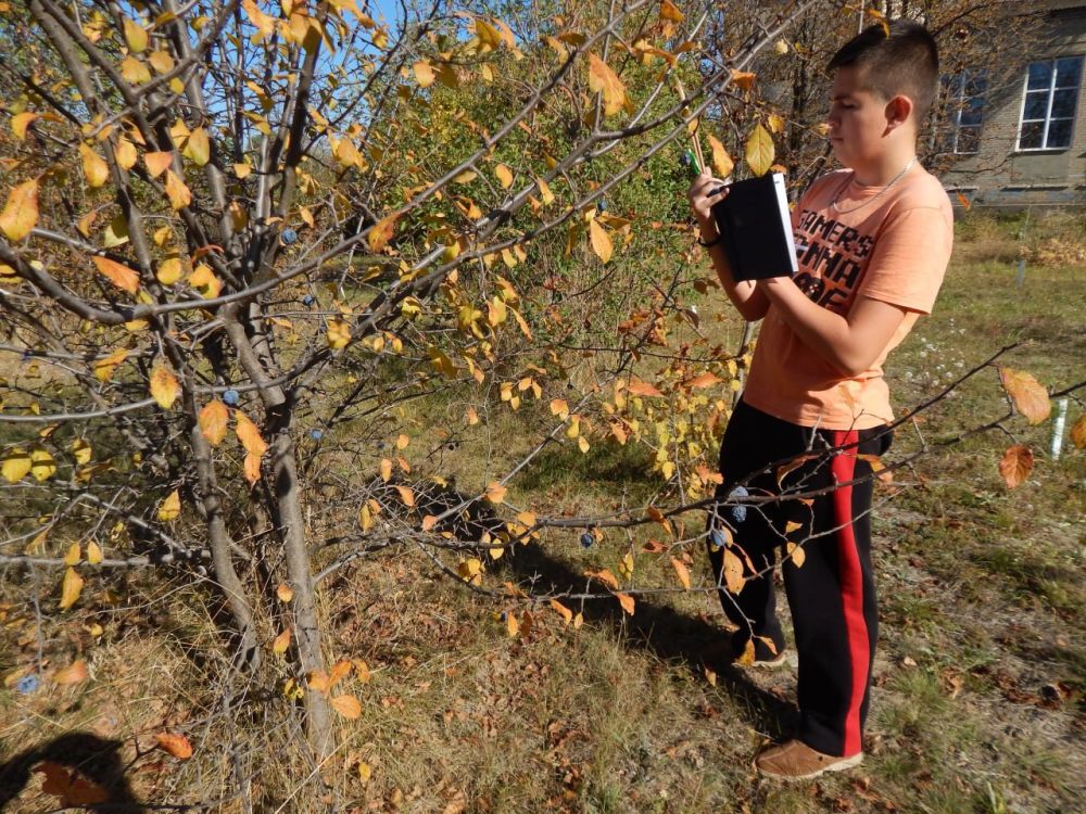 �������� �� �������� ���������� ������ �� ����� ���� �������� � ��������