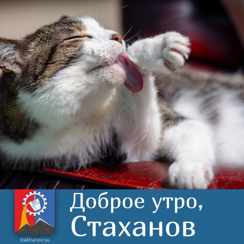 ��������, ������ ����. ��������� � ����� ���� � ������� ����������� ��� ������� ��������� � � Telegram