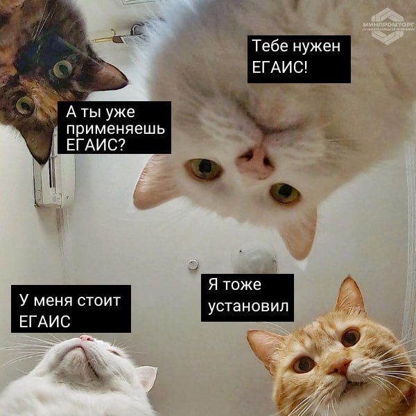 ����� ���������� ����������� ��������� ������ ���� �������� �������� �����