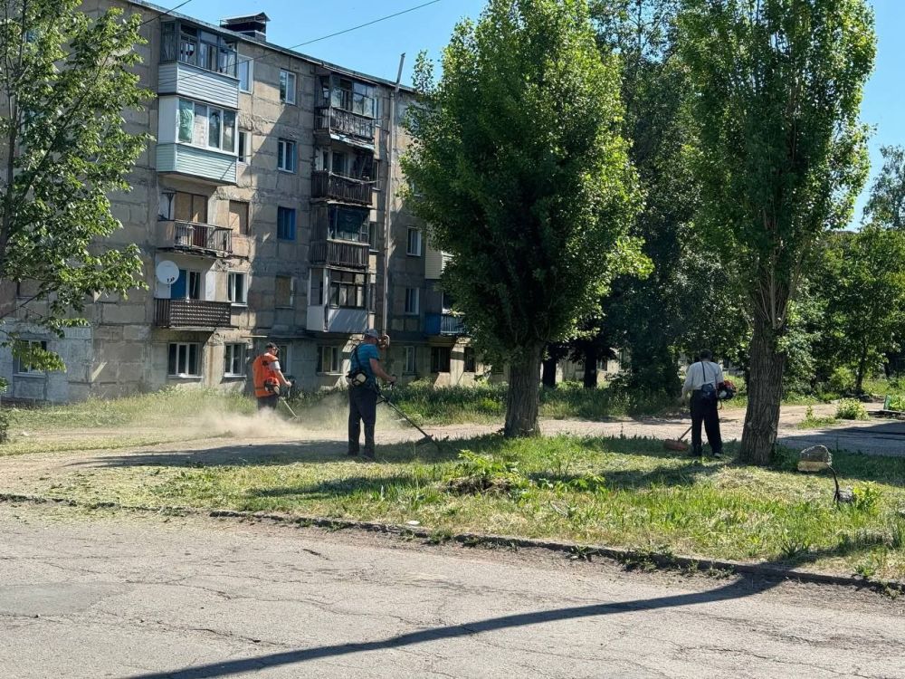 Сергей Колягин: Сегодня, как и планировалось, продолжились общественные мероприятия по благоустройству территорий, прилегающих к дорогам по улицам Киевская и Харьковская, где ранее был выполнен ямочный ремонт