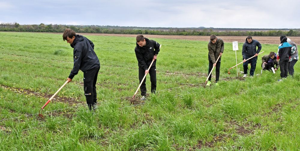 � ��������� �������� ���������� �������� �������� ���������������� �������� � �����