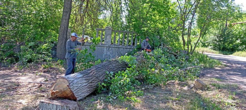 �������� ��������: ������������ ������ ���������� ������ �� ������ �������