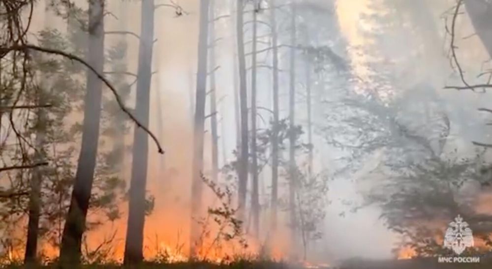 � ��������-��������� � ������������� ������� ����� ����� �� ��-�� ������ �������