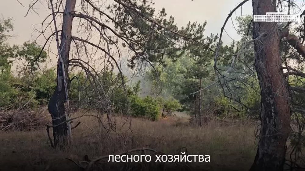 ������ ����������� ������������ ������������� ��� ���� �������, ������� �������� ������������� ���������� ������������...