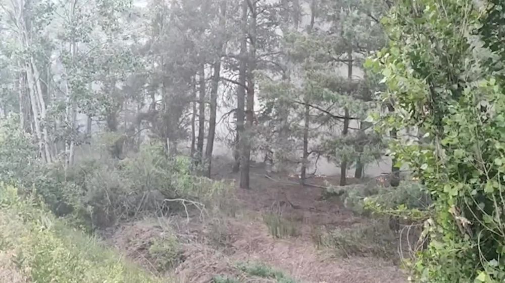 �����. ����� ������������ �������� ����������������� ������ � ����� � ������� �������� ������ � ���� ������������� ������������ ���: ��������-��������� � ������������� ������������� �������