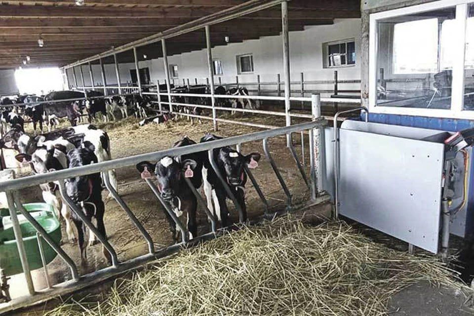 ������������ �������� ������������ ��� �������� �� ����� �������