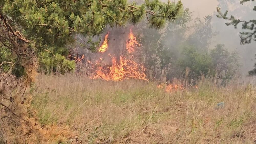 ���������� � ���������� �������������� �������� �������� �� ������� ���������� � �������� ������� �������������� ��������������� ���� ������ ���������� �������