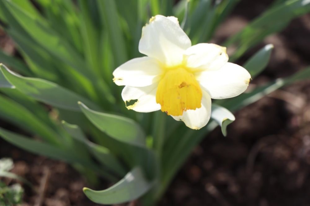 � ������ �����, ������ ����������� �������������� ������!