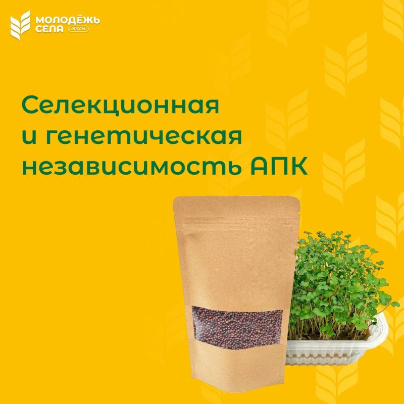 ����� ��������� � ����� ���