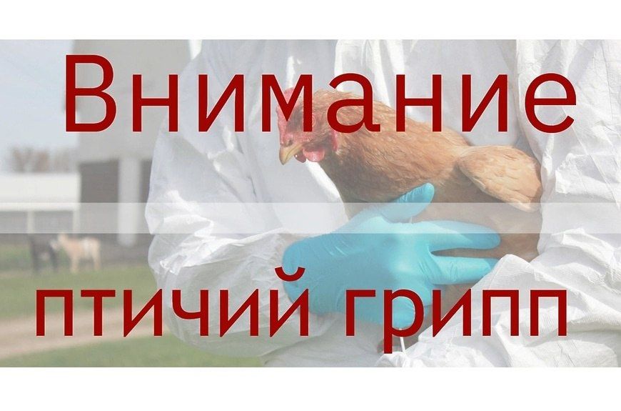 ������� ��� ��������� ����������������� ����� ���ֻ
