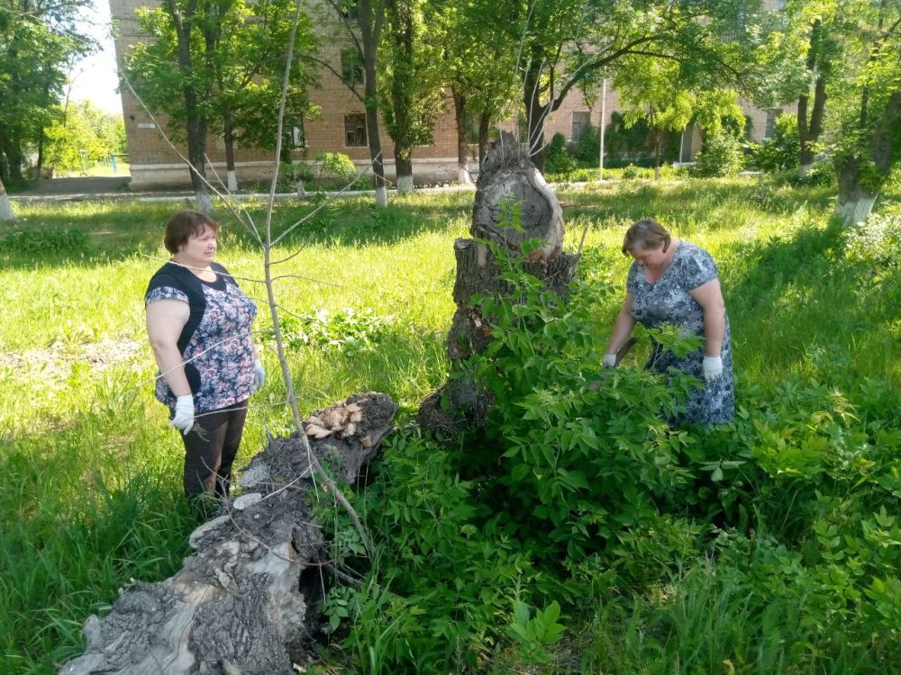 Своевременный покос травы – залог здоровья населения